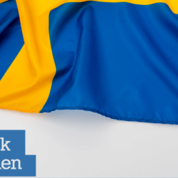 Sweden Introduces B2B Licensing for Providers: What Does That Mean for Everyone Involved?