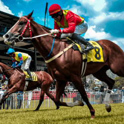 How to Bet on Horse Races – Horse Racing 101