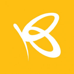 Flutterwave
