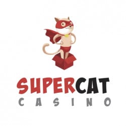 10 kreatywnych sposobów na ulepszenie cat casino online