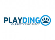 Playdingo
