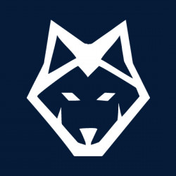 Wolf.bet