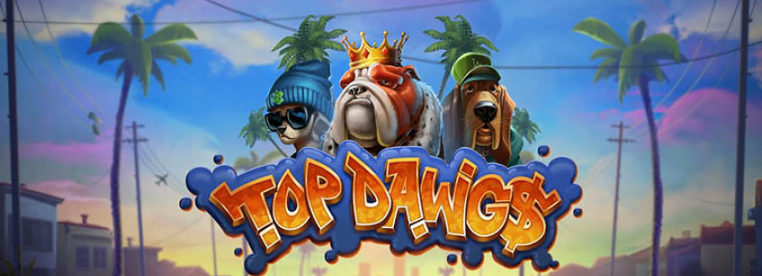 Top Dawg$ Rewards Lucky Player Dazzles With €500,000