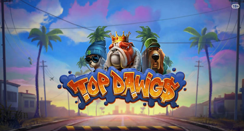 Top Dawg$ Rewards Lucky Player Dazzles With €500,000