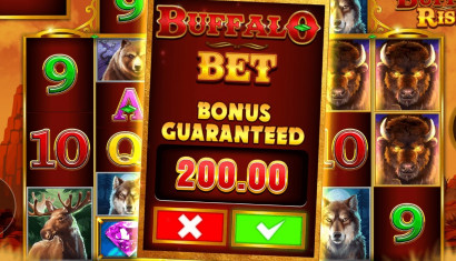 Buy a Bonus Feature in Slots – Will You Win?
