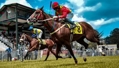 How to Bet on Horse Racing: A Complete Beginners-Guide