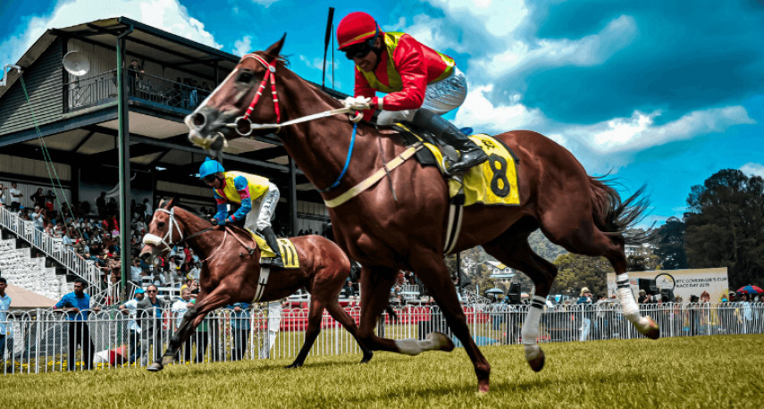 How to Bet on Horse Racing: A Complete Beginners-Guide
