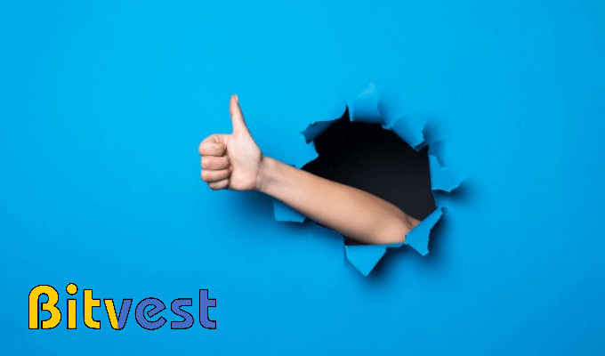 Bitvest Casino