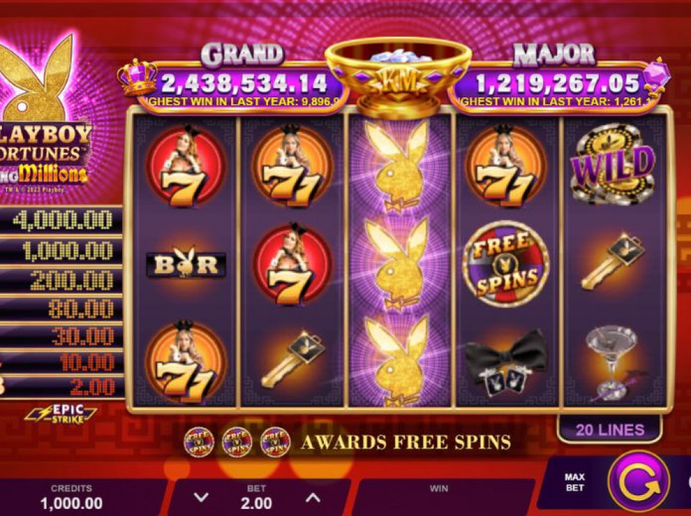 Playboy Fortunes slot