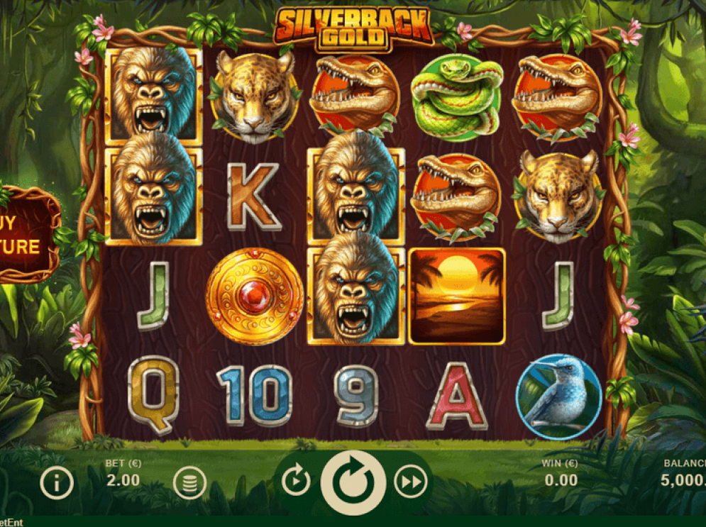 Silverback Gold