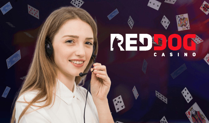 Red Dog Support