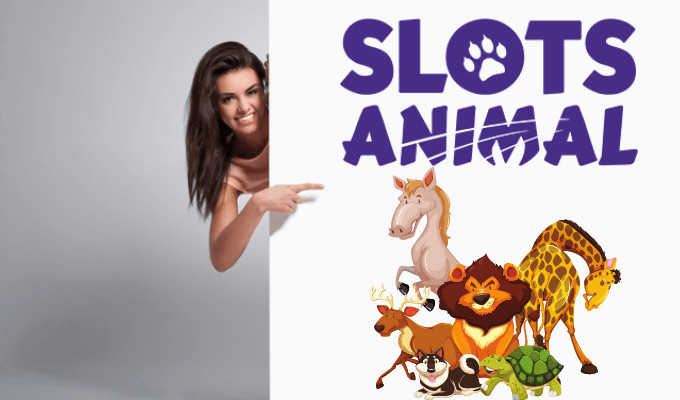 Slots Animal Casino Review UK 2023 + Latest Bonus Offers 🍀
