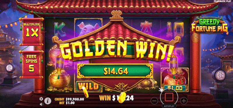 Greedy Fortune Pig big win
