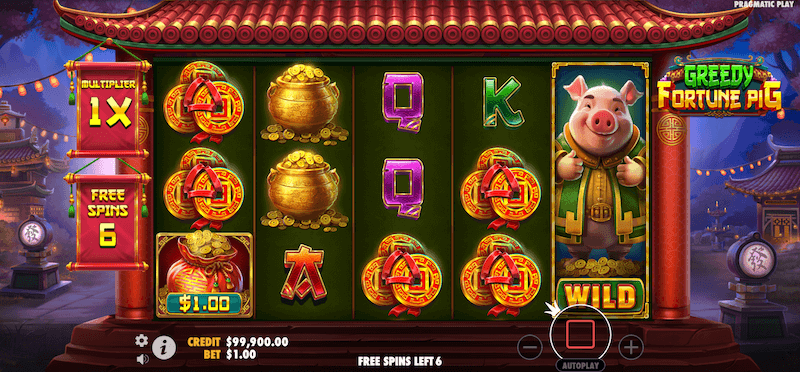 Greedy Fortune Pig expanding wild