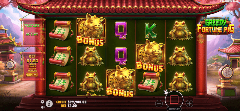Greedy Fortune Pig scatters
