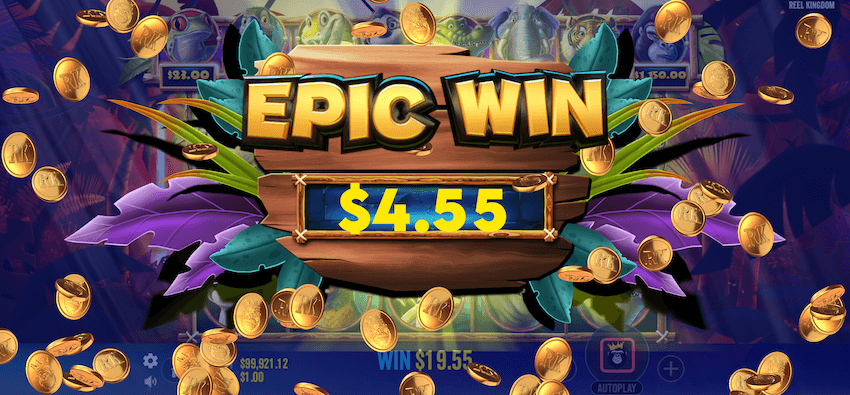 Jumbo Safari big win