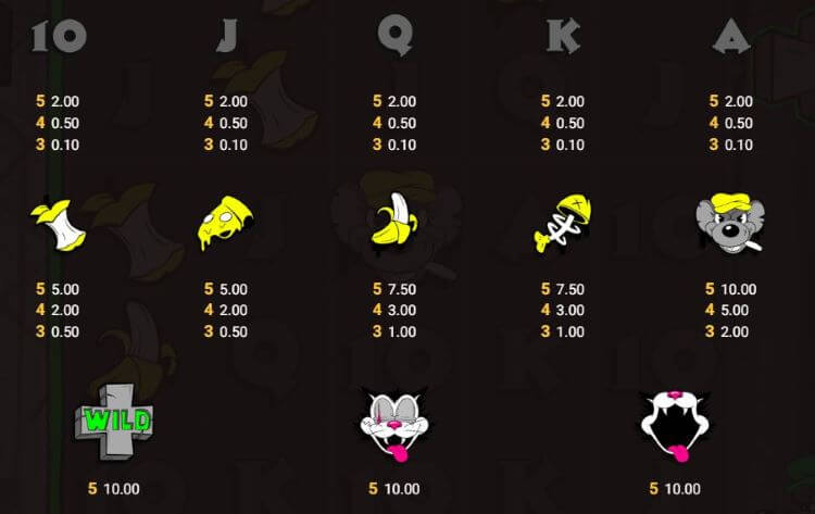 Rad Maxx slot symbol payouts
