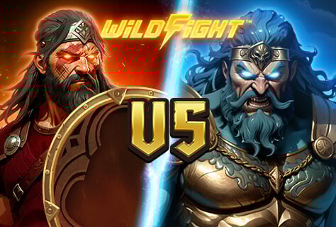 Vikings Go To Olympus wildfight