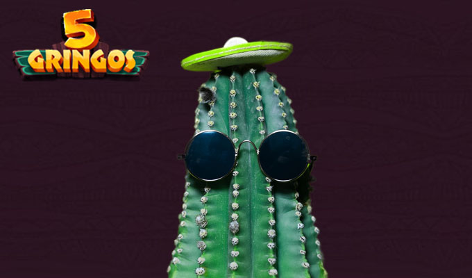 Sicherheit bei 5Gringo Casino