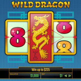 Wild Dragon screenshot