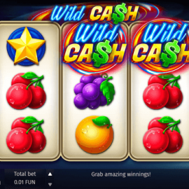 Wild Cash screenshot