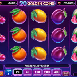 20 Golden Coins screenshot