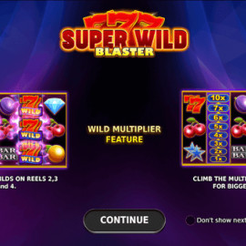 Super Wild Blaster screenshot