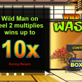 Wild Hot Wasabi screenshot
