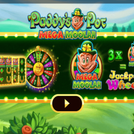 Paddy’s Pot Mega Moolah screenshot
