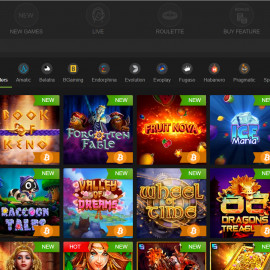 Fastpay Casino screenshot