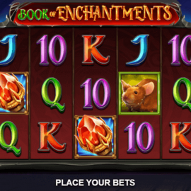 Book of Enchantments screenshot