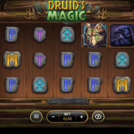Druid’s Magic screenshot
