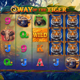 Way of the Tiger screenshot
