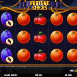 Fortune Circus screenshot