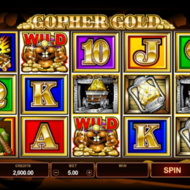 Gopher Gold screenshot
