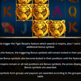 Tiger Emperor screenshot