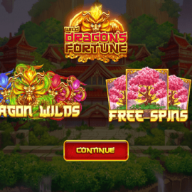 Wild Dragon's Fortune screenshot