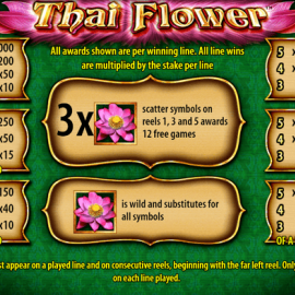 Thai Flower screenshot