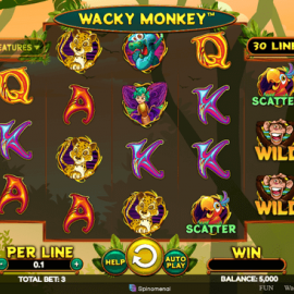 Wacky Monkey screenshot