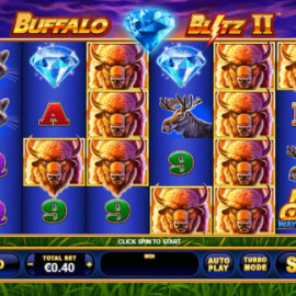 Buffalo Blitz II screenshot