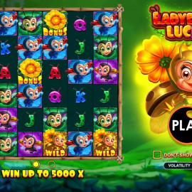 Ladybug Luck screenshot