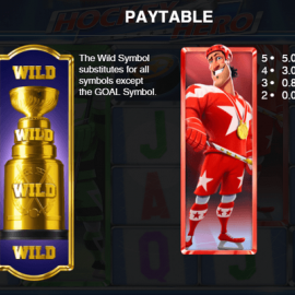 Hockey Hero screenshot