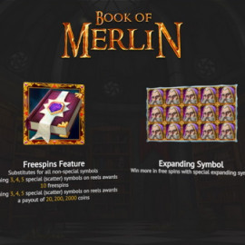 Book of Merlin screenshot