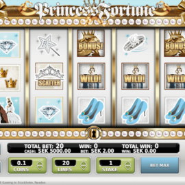Princess Fortune screenshot
