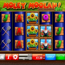 Moley Moolah screenshot