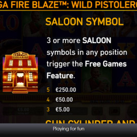 Mega Fire Blaze: Wild Pistolero screenshot