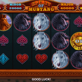 Spirit of Mustang screenshot