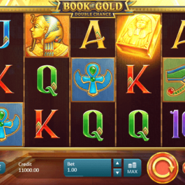 Book of Gold: Double Chance screenshot