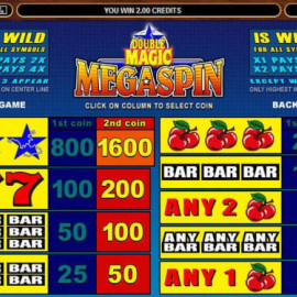 MegaSpin Double Magic screenshot