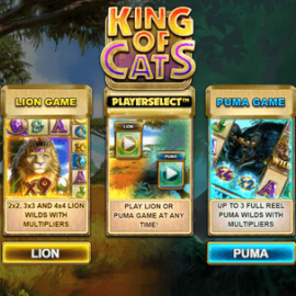 King of Cats screenshot